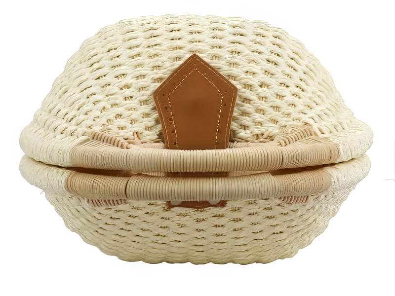 حقيبة حمل بسيطة